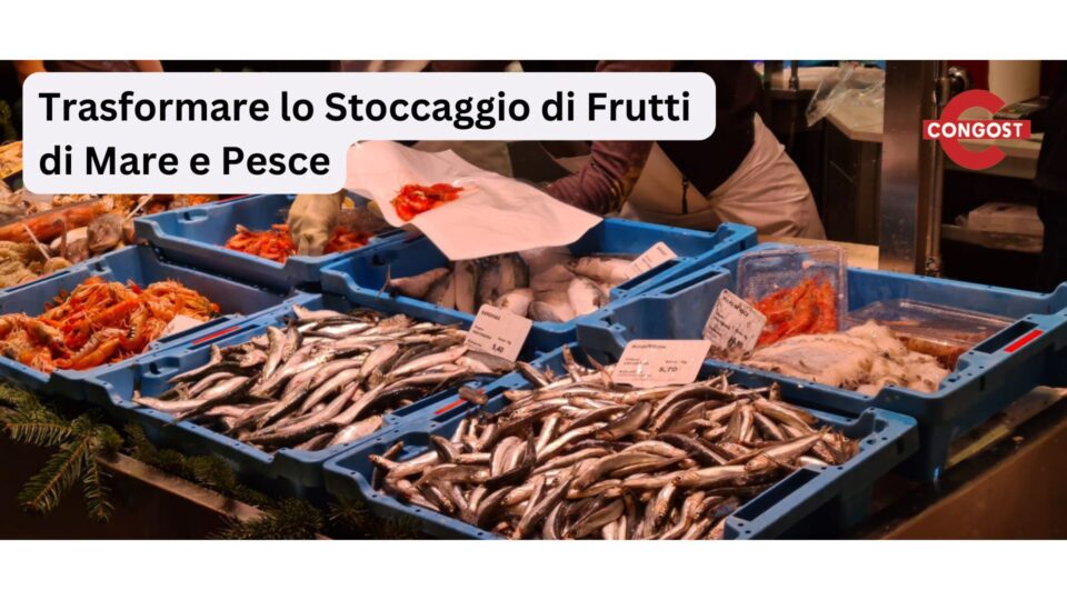 Trasformare lo Stoccaggio di Frutti di Mare e Pesce: I Contenitori Inseribili e Sovrapponibili di Congost